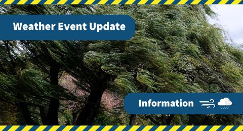 Strong Wind Updates for Mid Canterbury