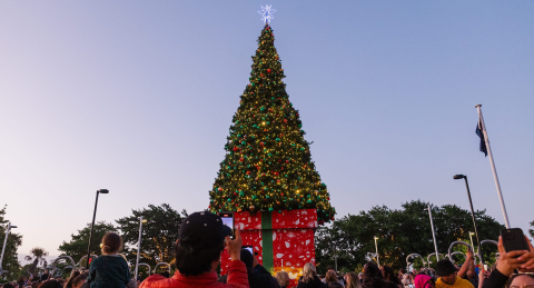 We're dusting off the Christmas tree