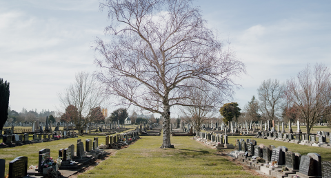 Cemetery Information