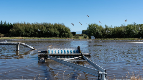 New aerators for Methven wastewater plant