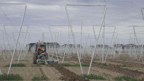 Mayor Liz thanks employers for backing job scheme