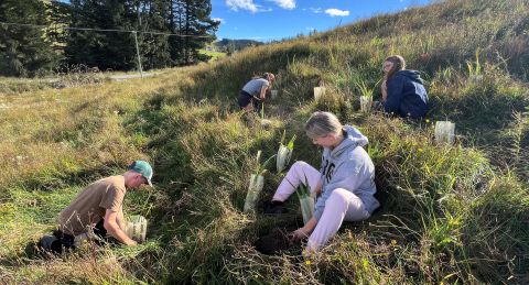 Applications open for community grants