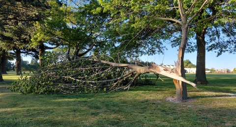 Wind damage assessments under way