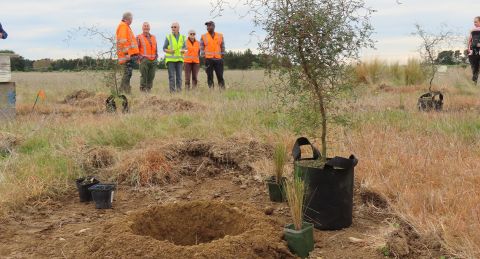 Join the volunteer planting crew for World Biodiversity Day