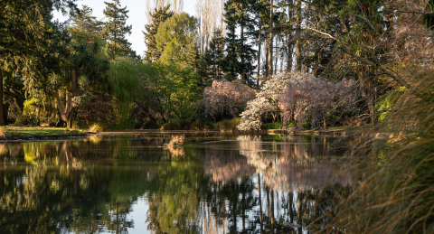 Council services over Canterbury Anniversary weekend 2025