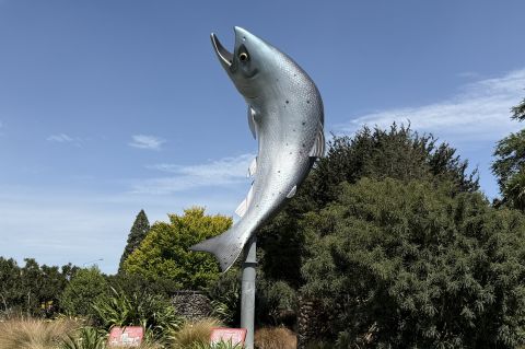 Council inspecting salmon sculpture