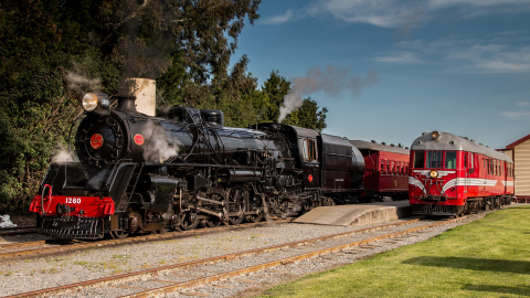 Summer calls for family adventures in Mid Canterbury