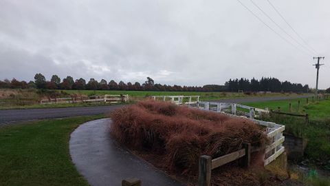 Land set to be rezoned for more housing