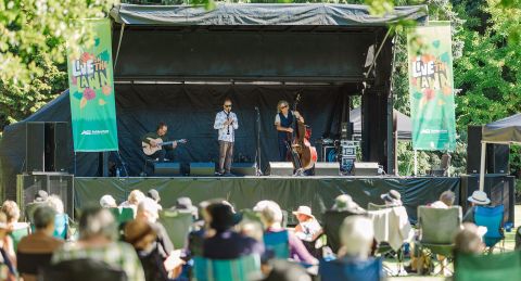 Live on the Lawn strikes right chord