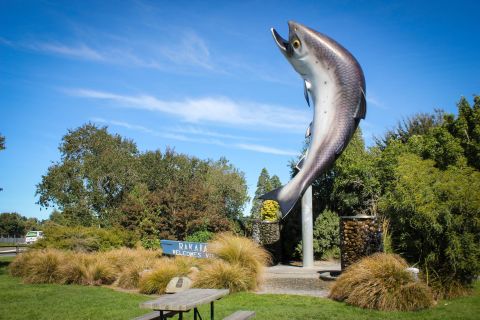 Rakaia Salmon Site Enhancement Project