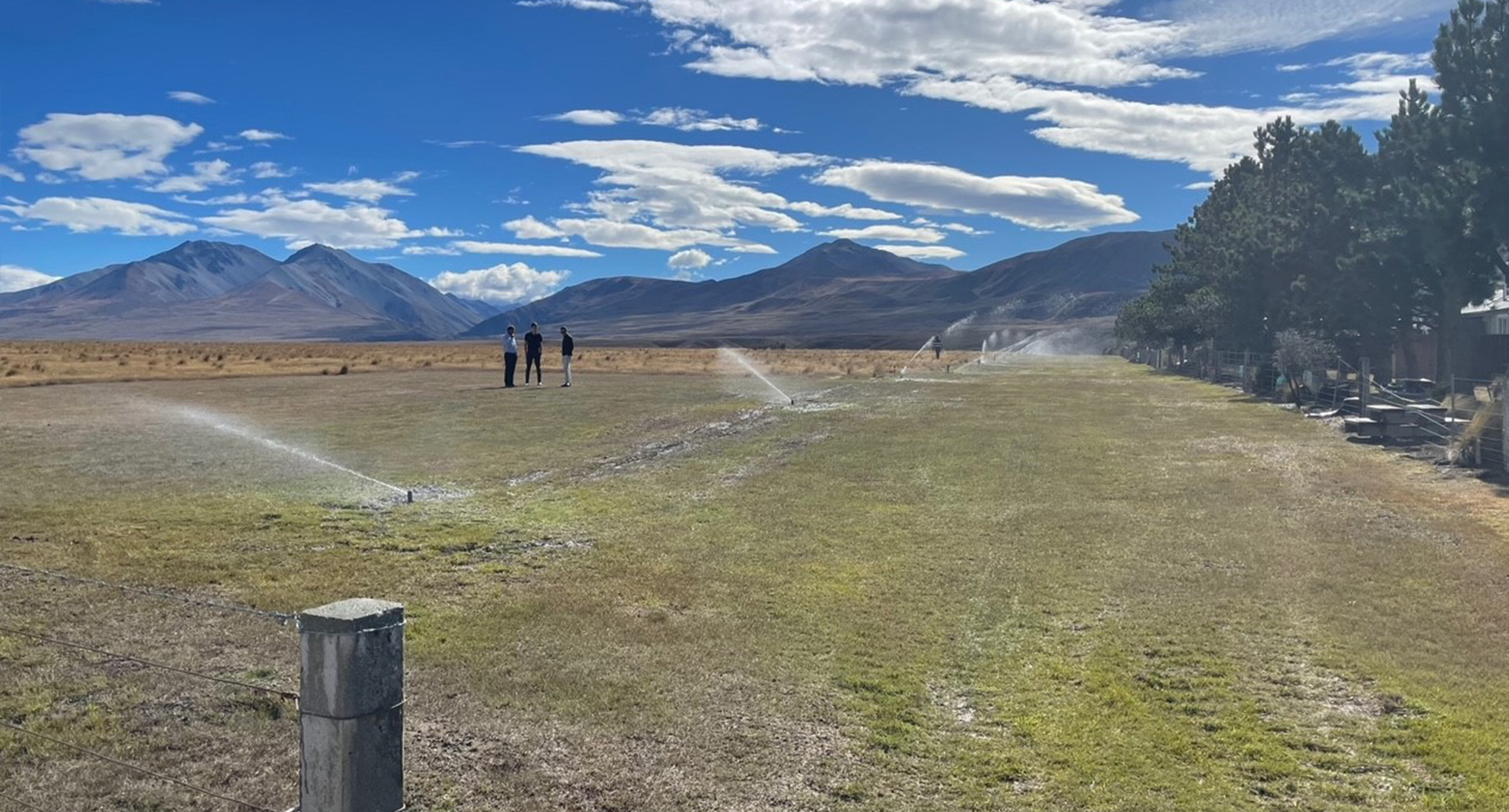 Sprinklers irrigating grass