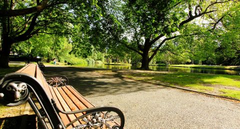 Love your parks: Share your thoughts on our reserves and green spaces